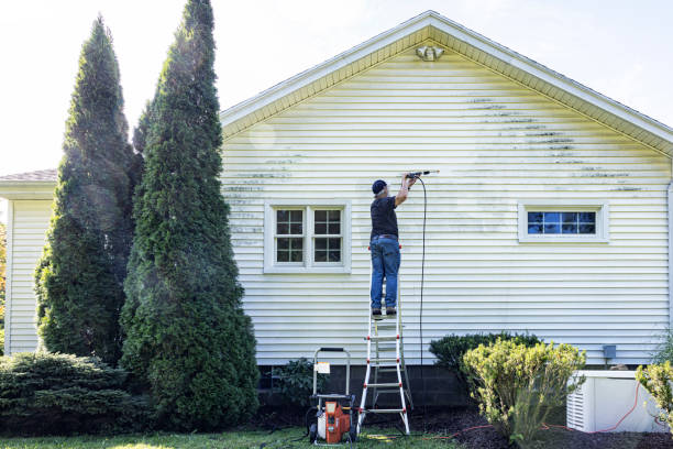 Local Pressure Washing Services in Eastlake, OH